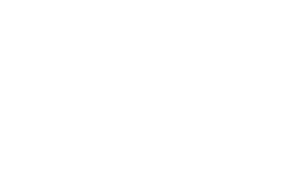 Brand Logo Boldpiq