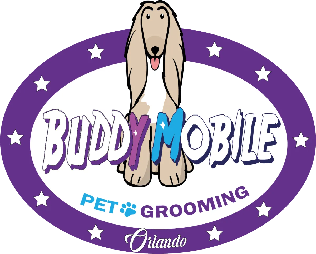 Buddy Pets Grooming Pampering Pets In Orlando, FL and Surrounding Areas