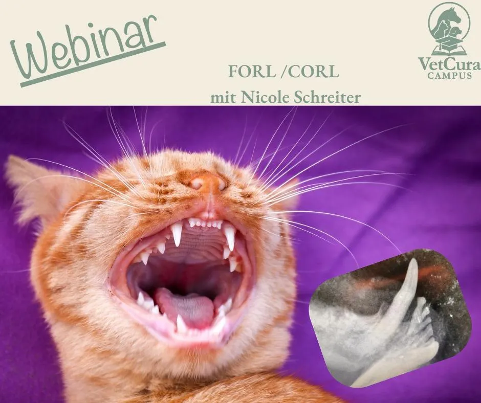 Webinar-Forl_Corl