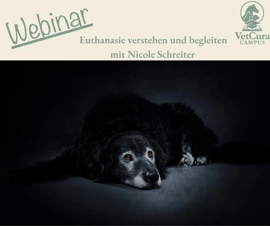 Webinar-Euthanasie