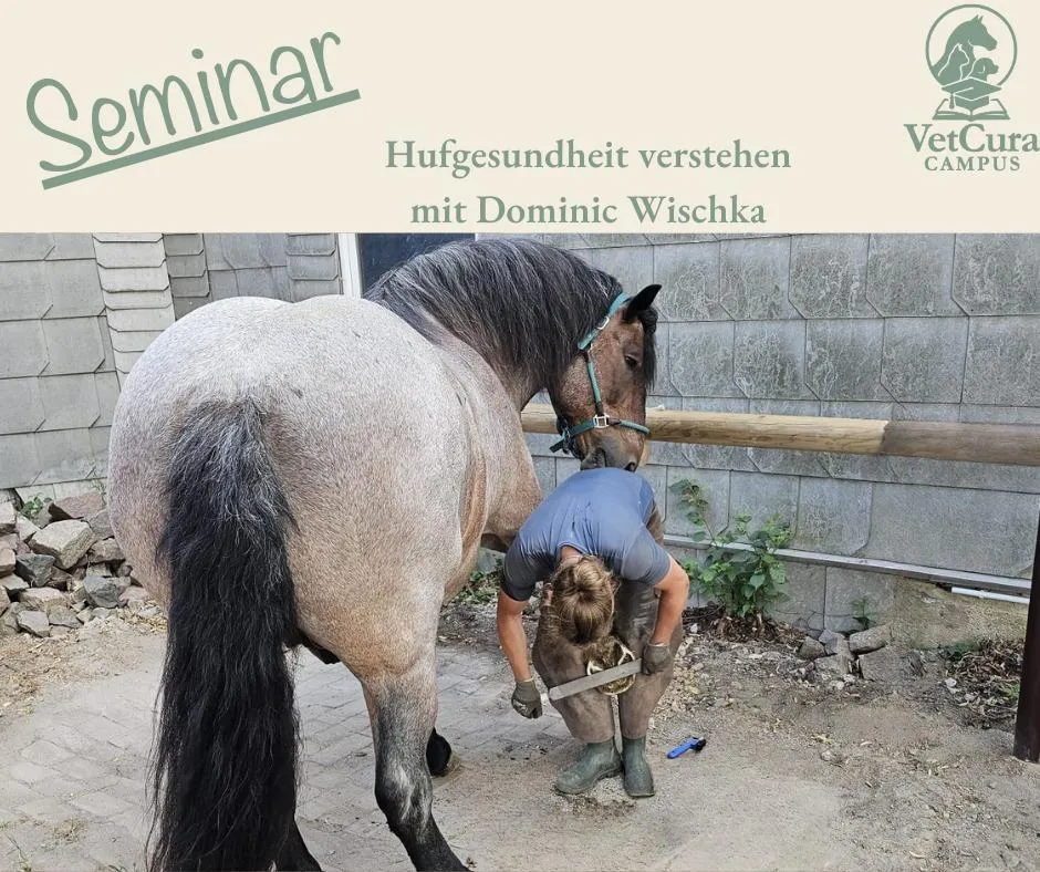 Seminar-Hugesundheit