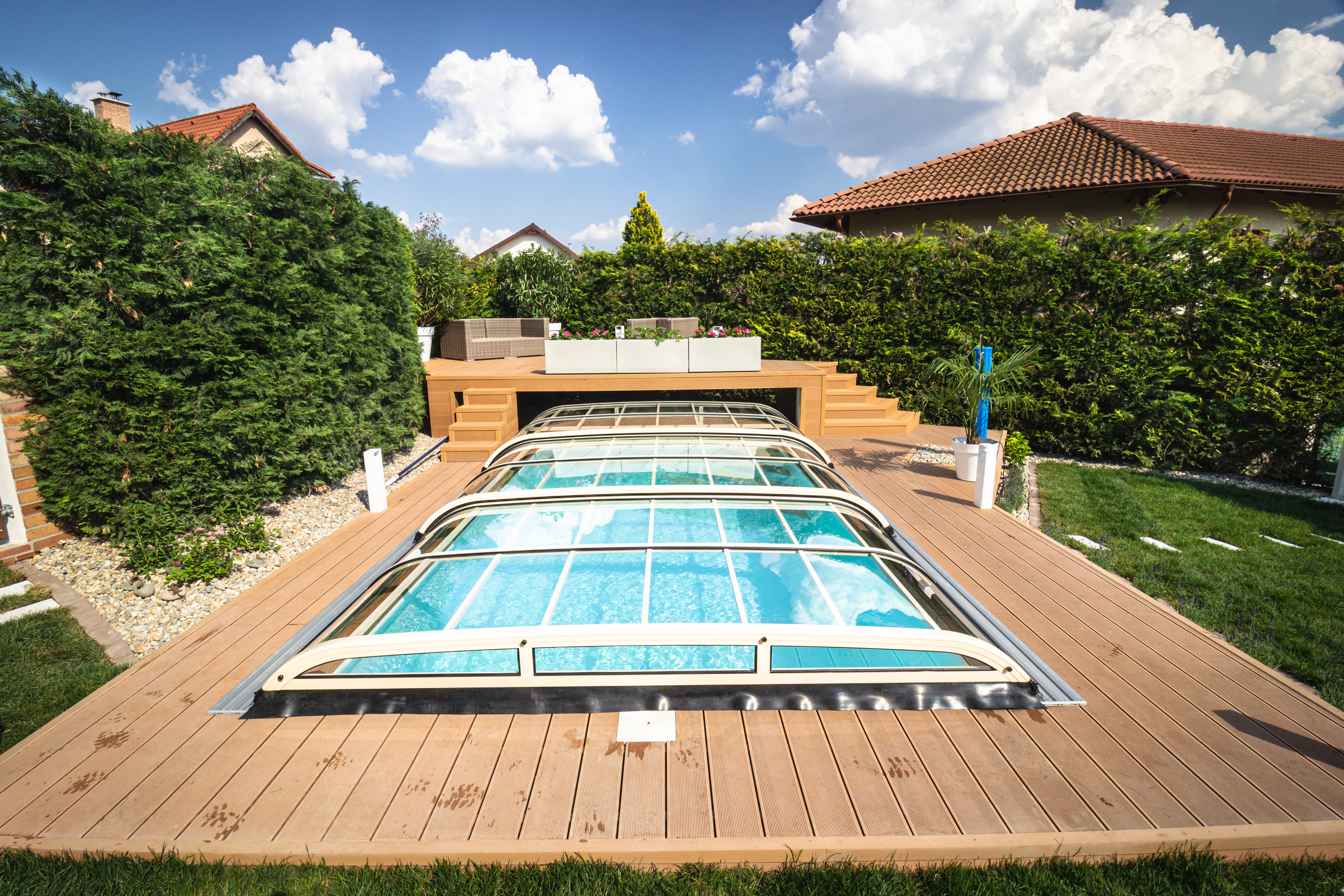 Goldfish swim in a dark pond near wooden dock
