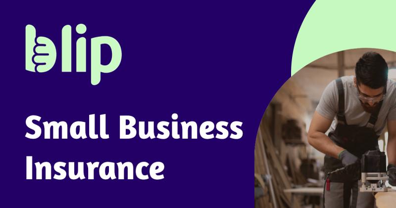 Blip Insurance