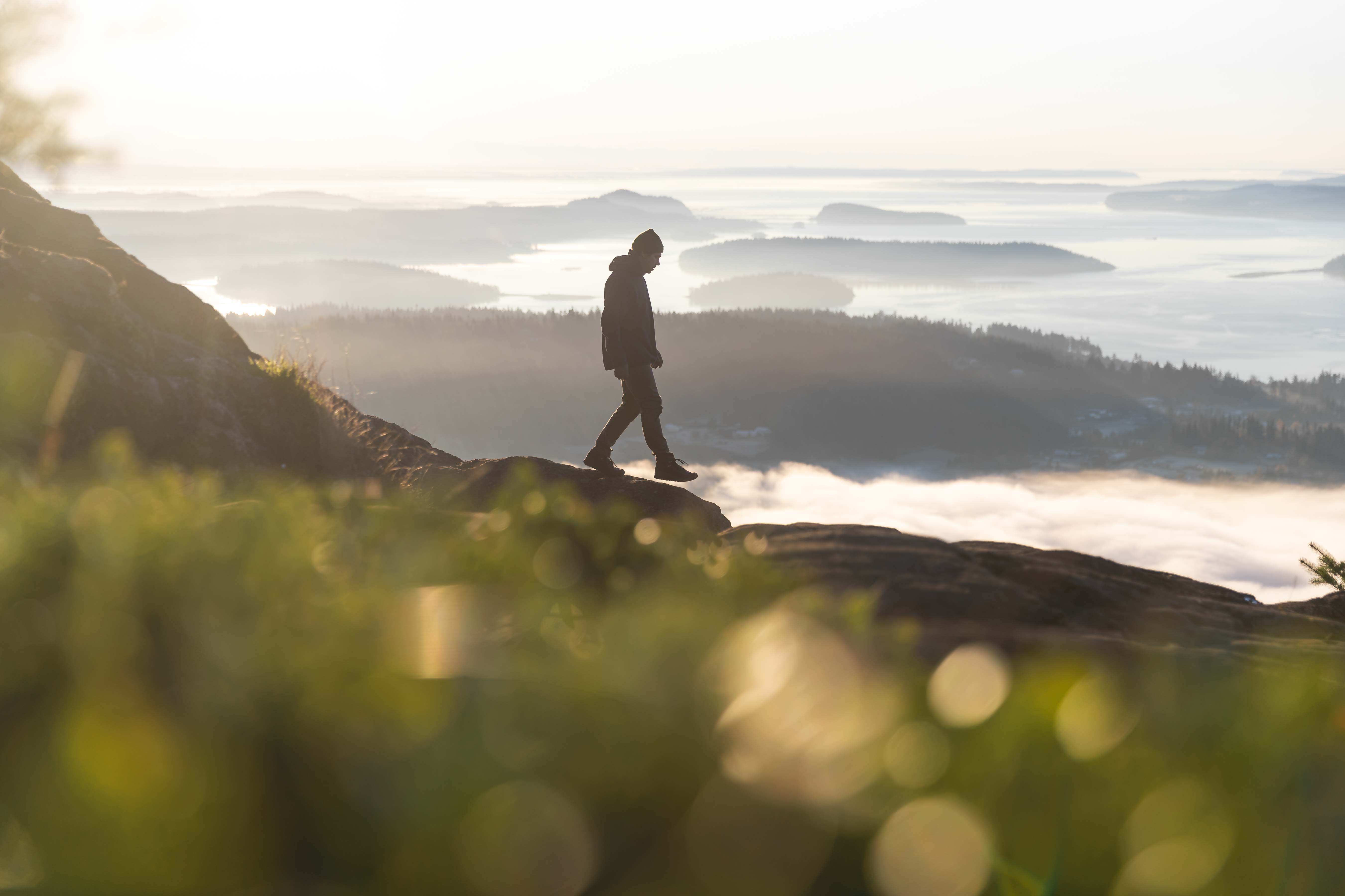 Our Nervous System Is the Map, Not the Obstacle