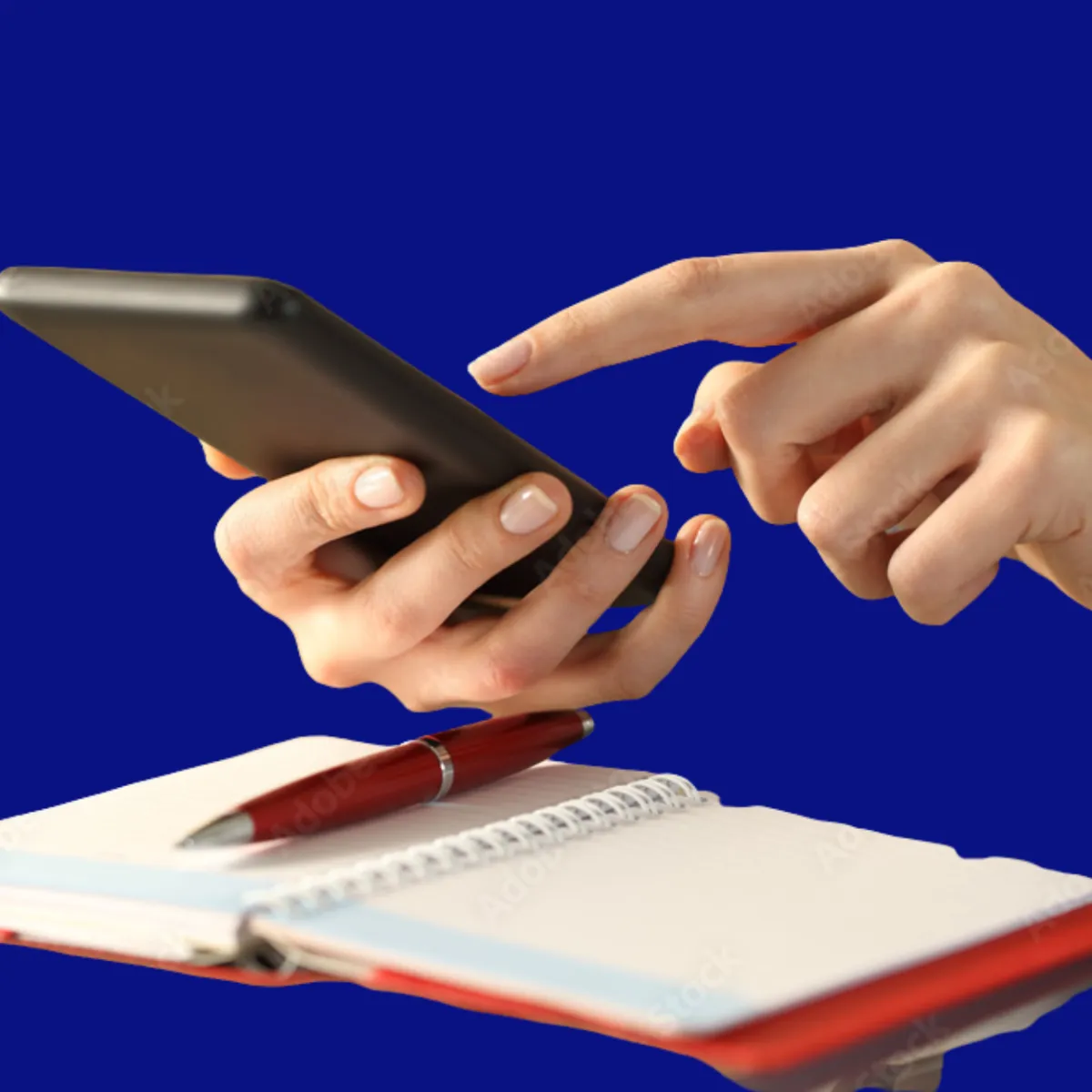 Custom compounded digestive medications for pets at St. Cloud Pharmacy, enhancing gut health and wellness.