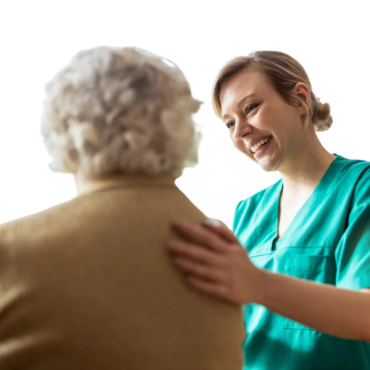 Custom compounded digestive medications for pets at St. Cloud Pharmacy, enhancing gut health and wellness.