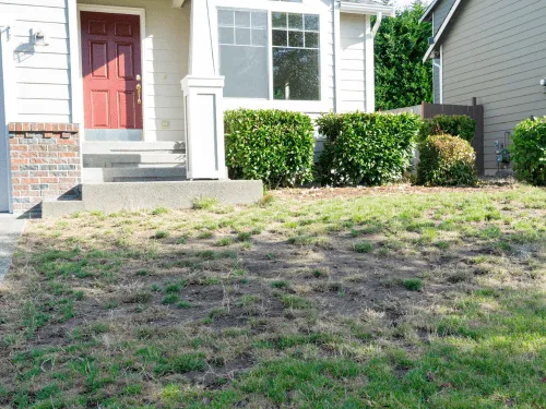 Aurora, CO Artificial Turf Installation