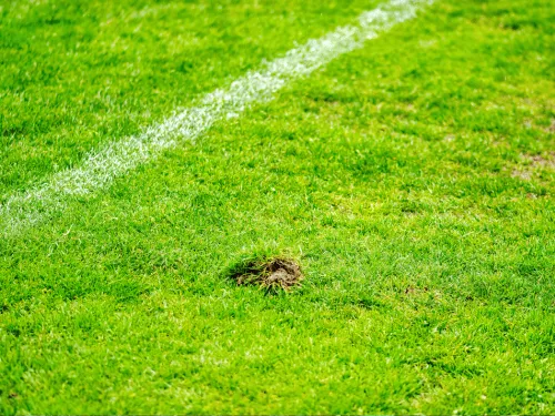 Aurora, CO Commercial Artificial Turf Installation