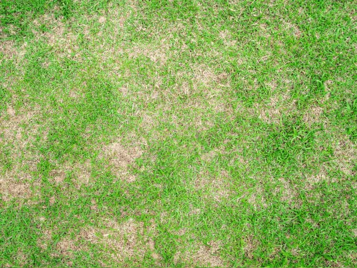 Aurora, CO Residential Artificial Grass Installation