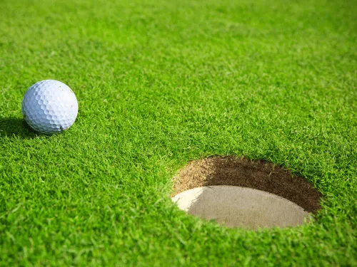  Artificial Turf Installation