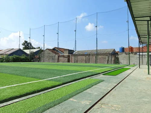 Turf Removal & Replacement Denver, CO