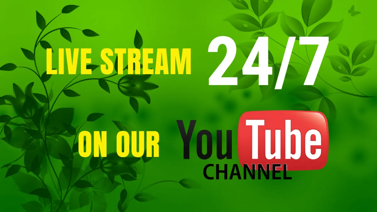 The Video City Directories YouTube Channel Live Stream