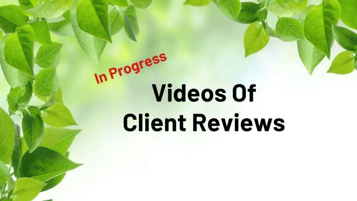 The Video City Directories Review Videos
