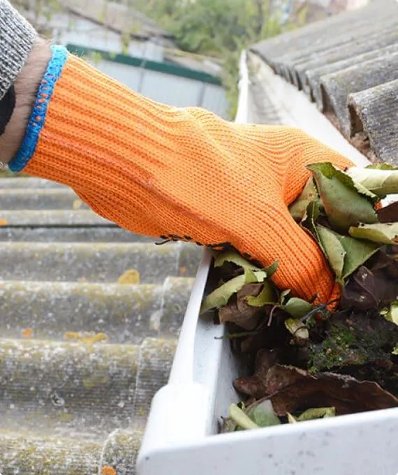 Close-up of a professional gutter cleaning service removing leaves and debris from a clogged gutter with a gloved hand.