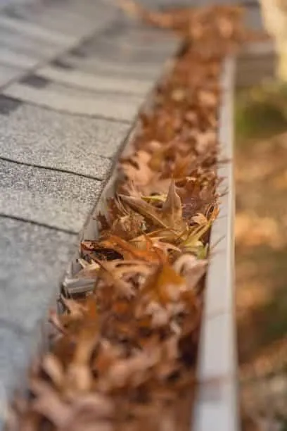 Clogged residential gutter filled with dry autumn leaves, highlighting the need for professional gutter cleaning services.