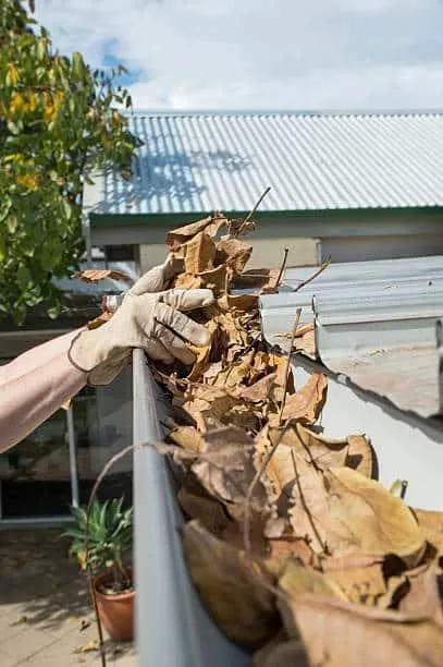 A professional cleaner removing dry leaves and debris from a clogged gutter with a gloved hand, ensuring proper drainage and home protection.