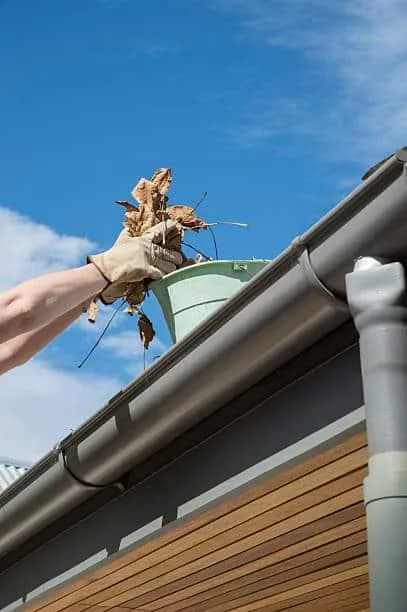 Professional gutter cleaning in Calgary, removing leaves and debris to prevent clogs and water damage.