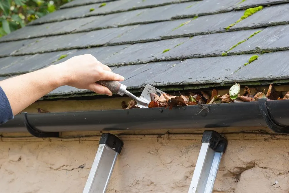 Clogged gutter filled with autumn leaves in Calgary, requiring expert cleaning.