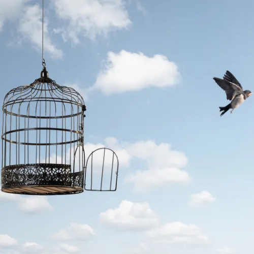 God is not the author of sickness