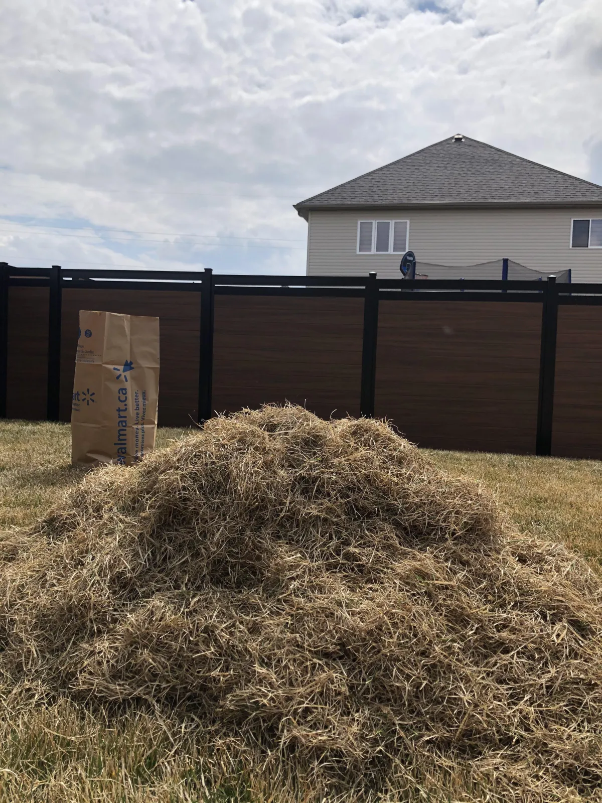 lawn dethatching grass dethatching