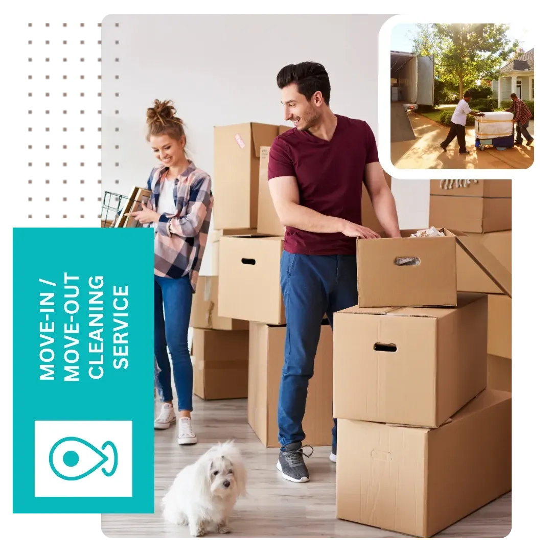 move-in cleaning Golden, CO