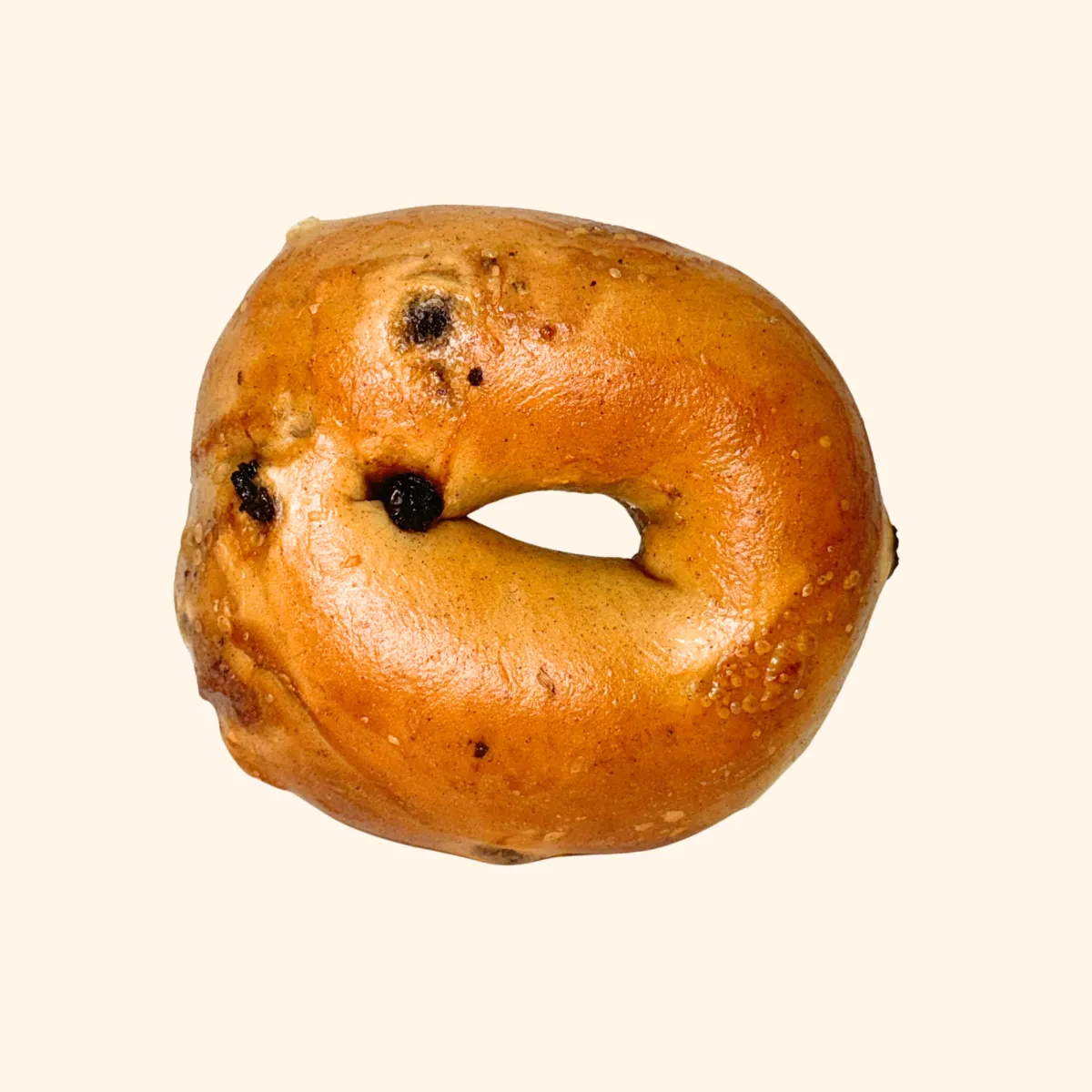 Cinnamon Raisin Bagel