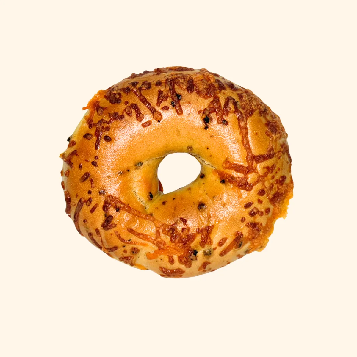 Jalapeno Cheddar Bagel
