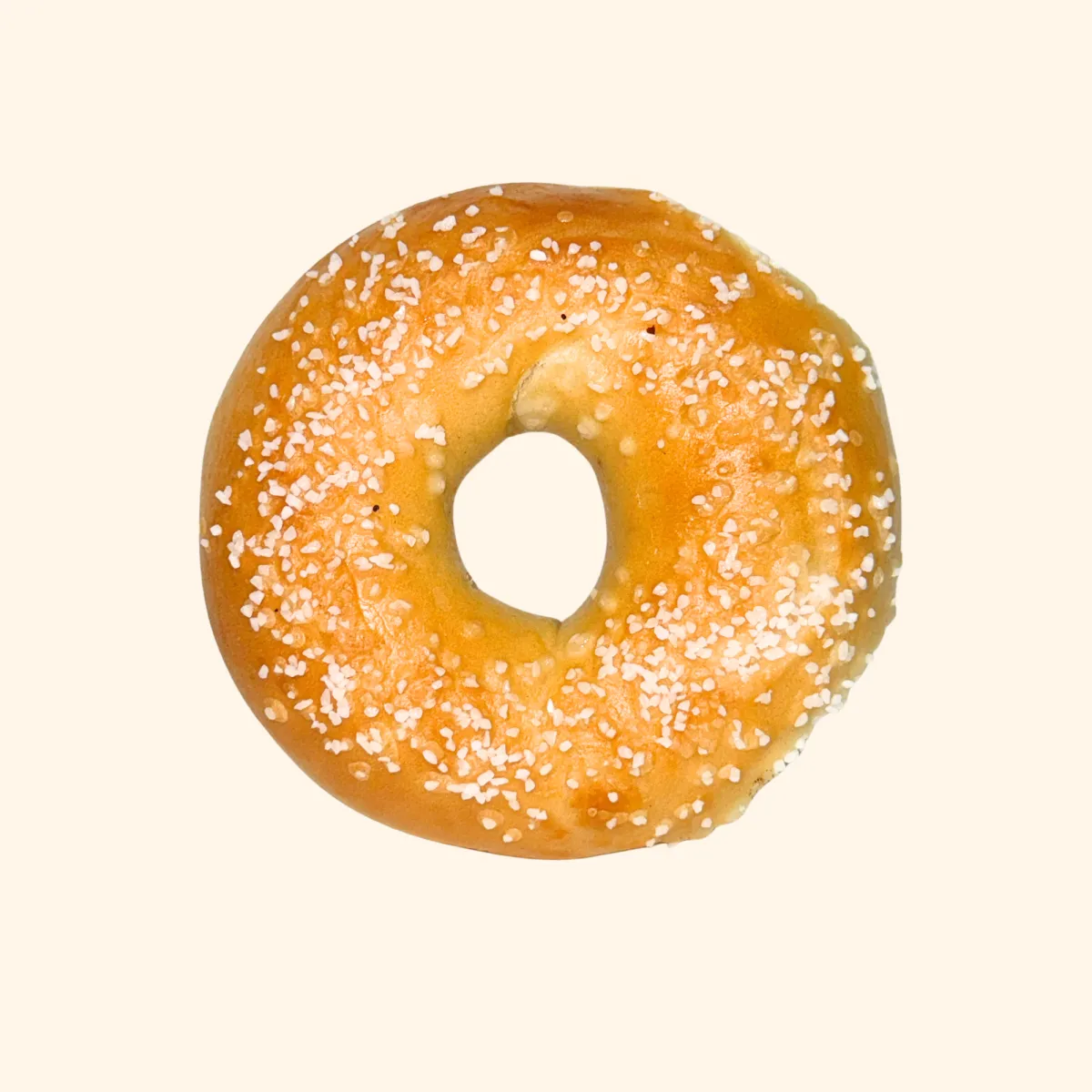 Salt Bagel
