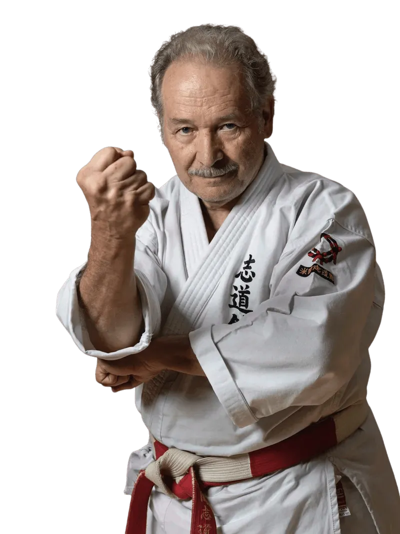 senior karate instructor