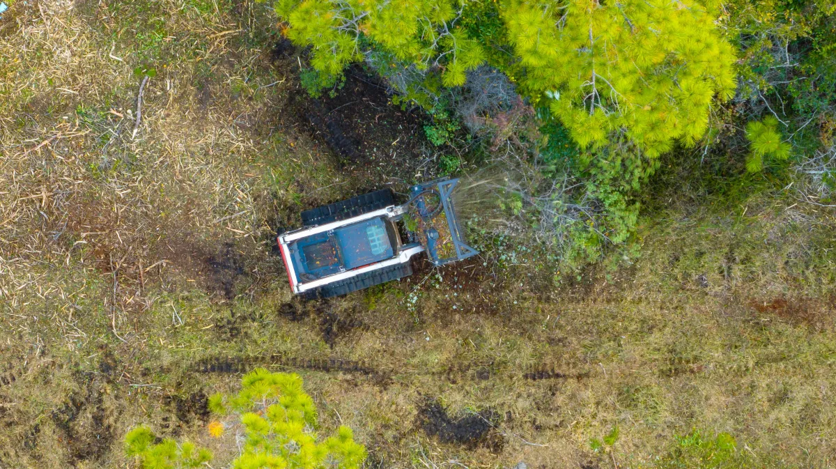 an aerial view of a road surrounded by trees
