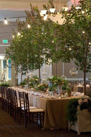 trees and wedding decorations