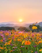 Why Spring 2026 Is the Ultimate "Sweet Spot" for Home Sellers