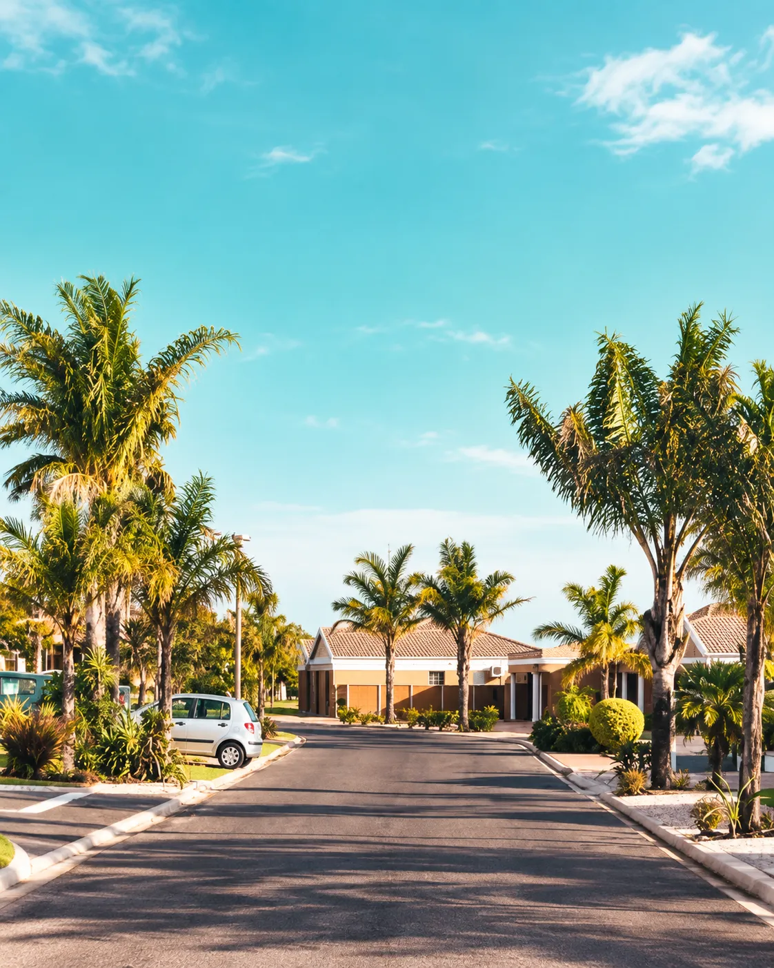 neighborhood