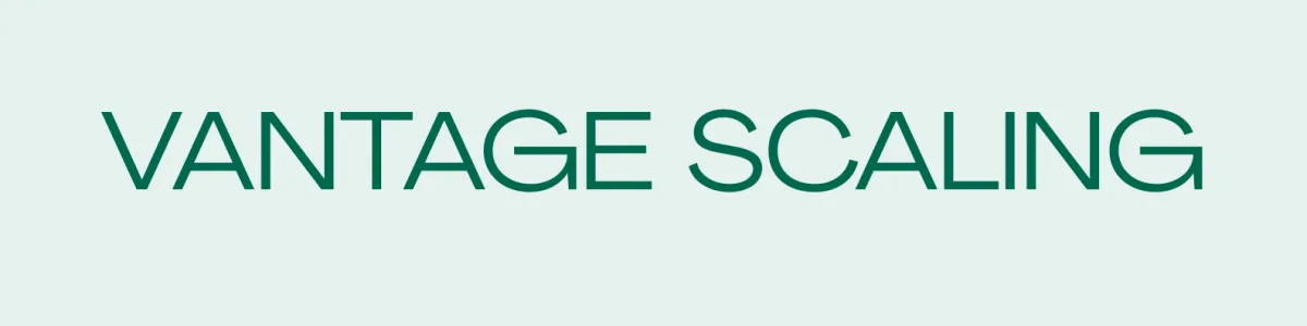 vantagescaling.com