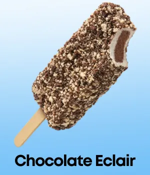 Chocolate Eclair Novelty Ice Cream Bar