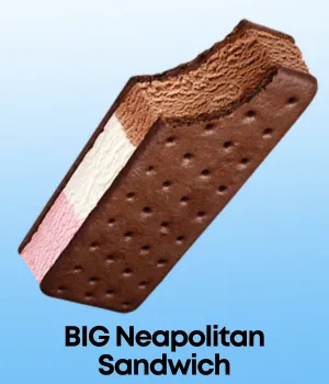 BIG Neapolitan Sandwich Novelty Ice Cream