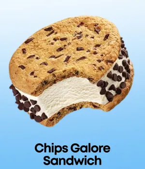 Chips Galore Novelty Ice Cream Sandwich