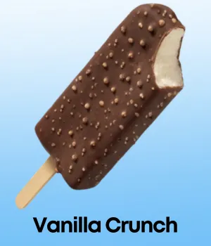 Vanilla Crunch Novelty Ice Cream Bar