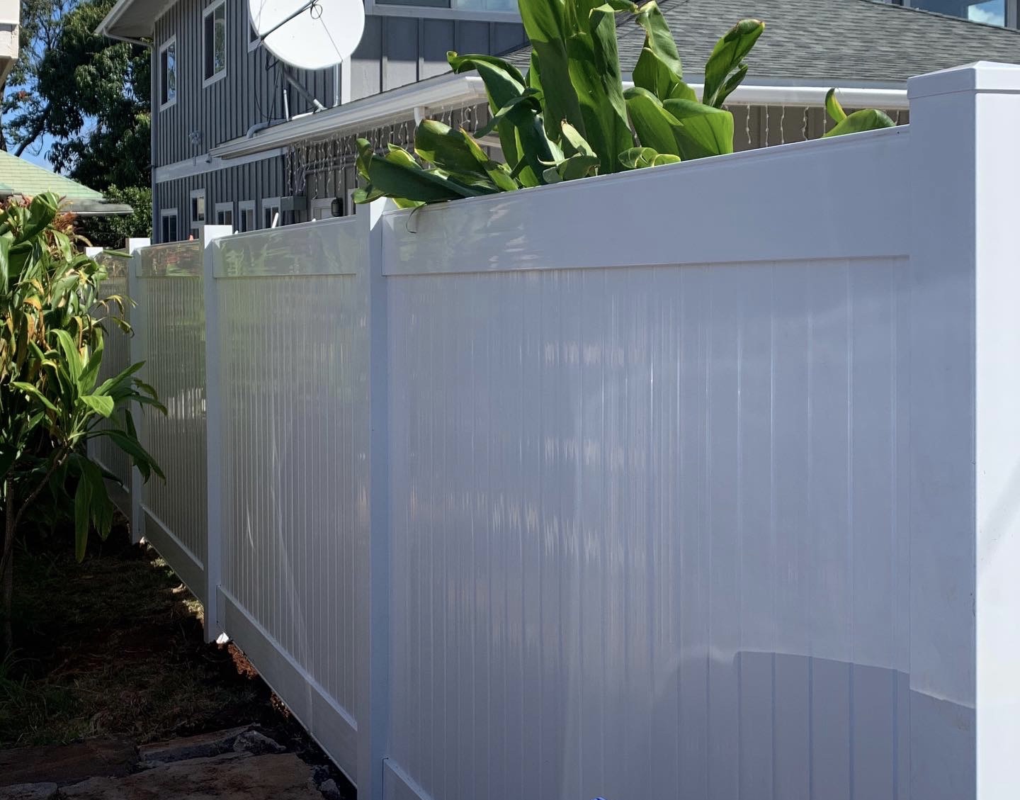 white bird on top of gray wooden fence during daytime