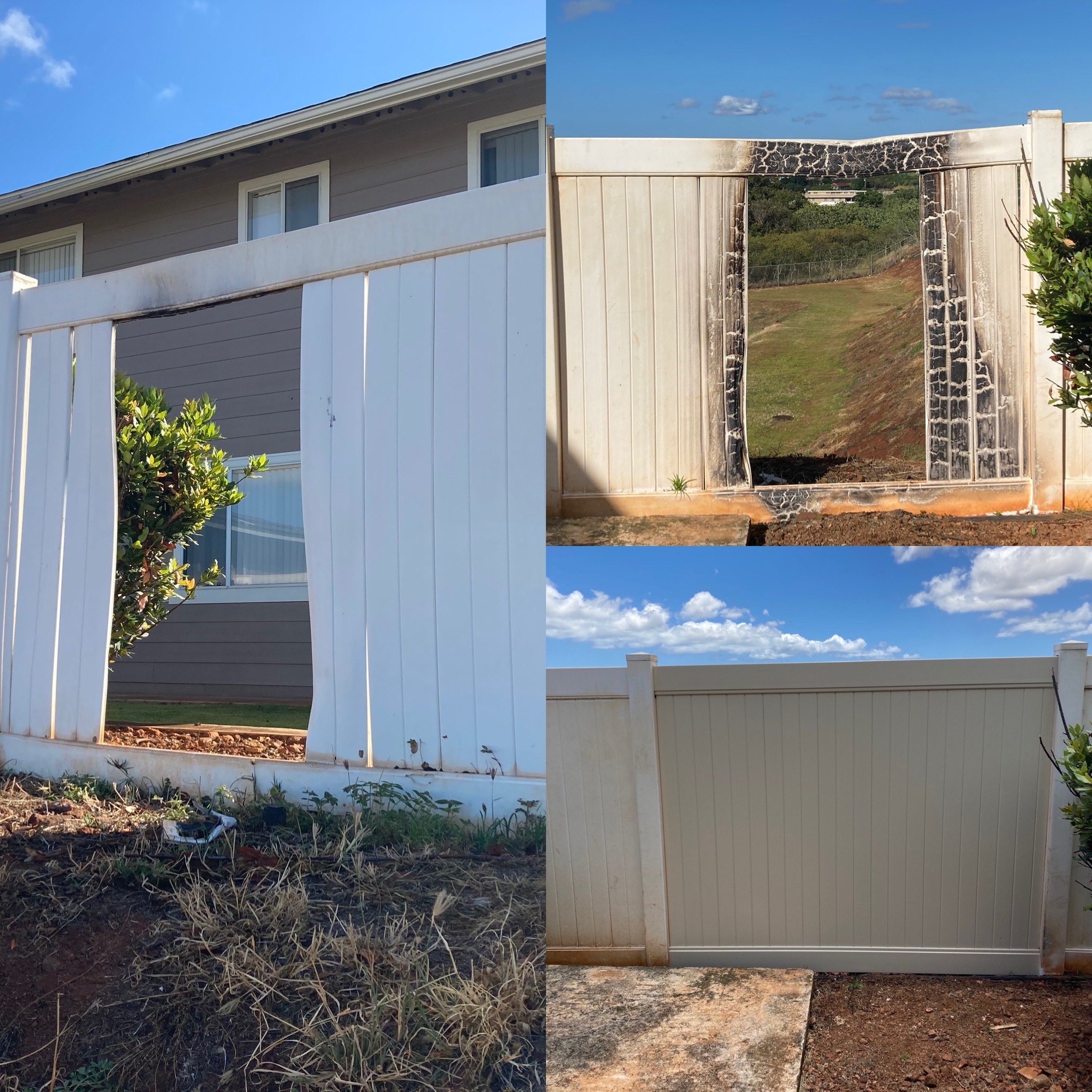 Wrought iron fence against a pastel sunset sky