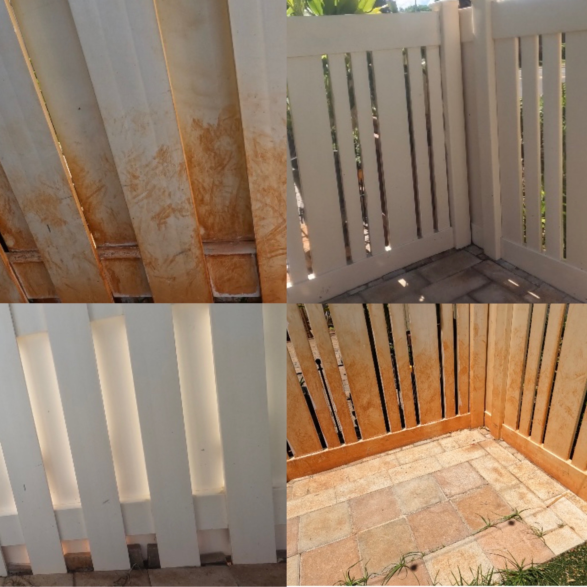 Barbed wire in front of a dark wall at sunset.