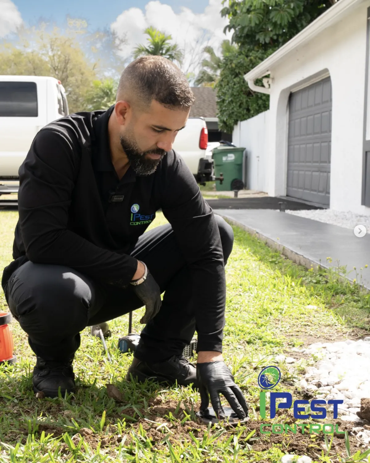 Bee Removal Aventura