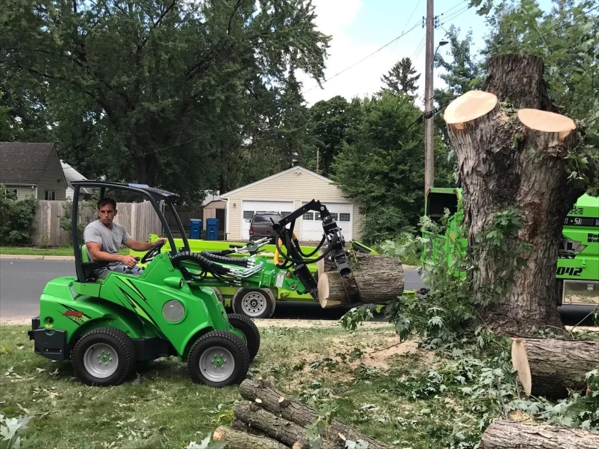 "Total Tree Care crew worker using equipment for tree removal"