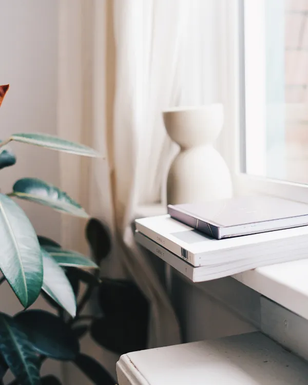 books and a vase on a window ledge with a plant