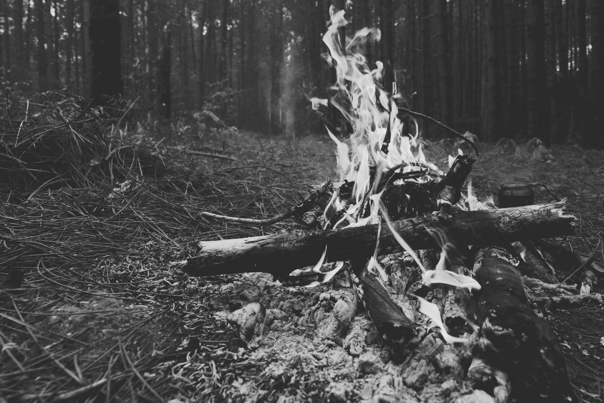 Black-and-white photo of a campfire burning in a forest clearing, with logs arranged around glowing embers.