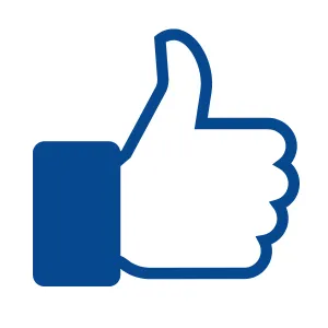 Facebook Ads logo representing targeted social media advertising solutions