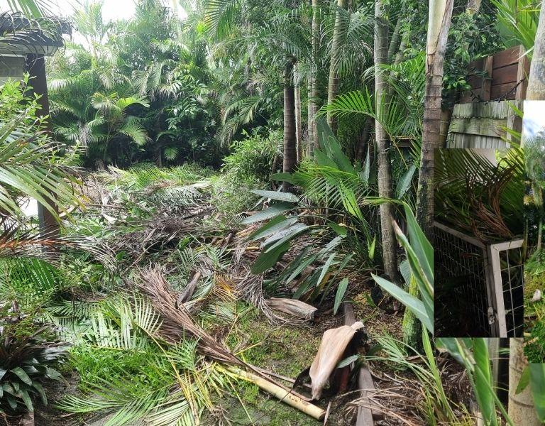 Garden CleanupBuderim