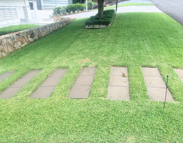 Lawn Mowing Buderim