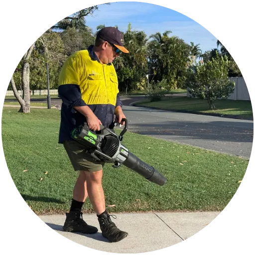 garden clean up