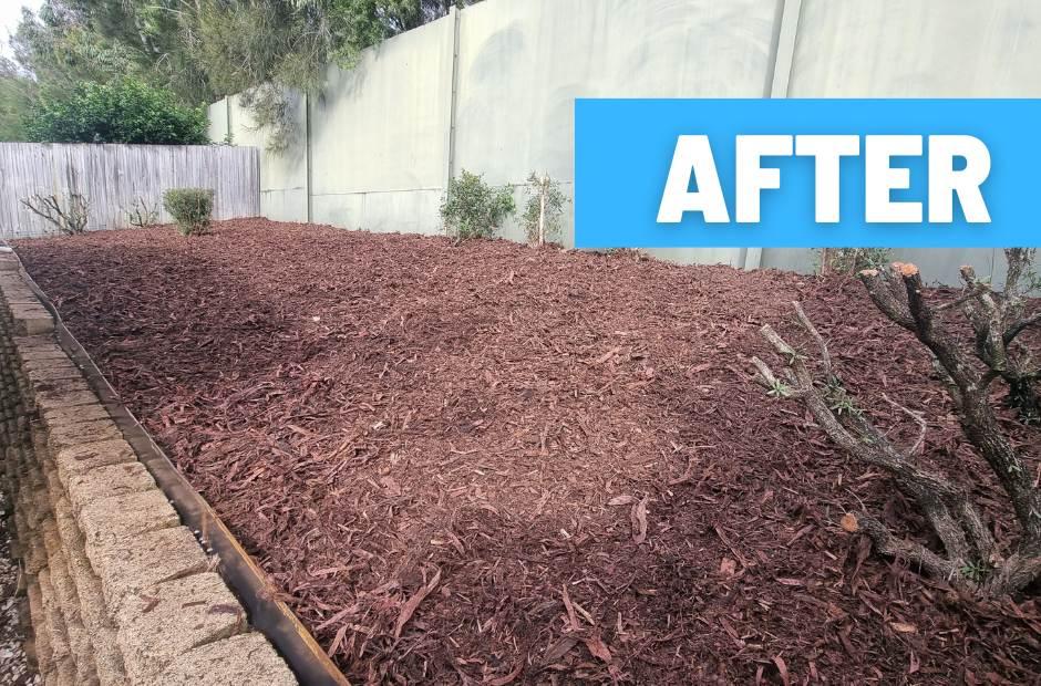 yard maintenance services buderim